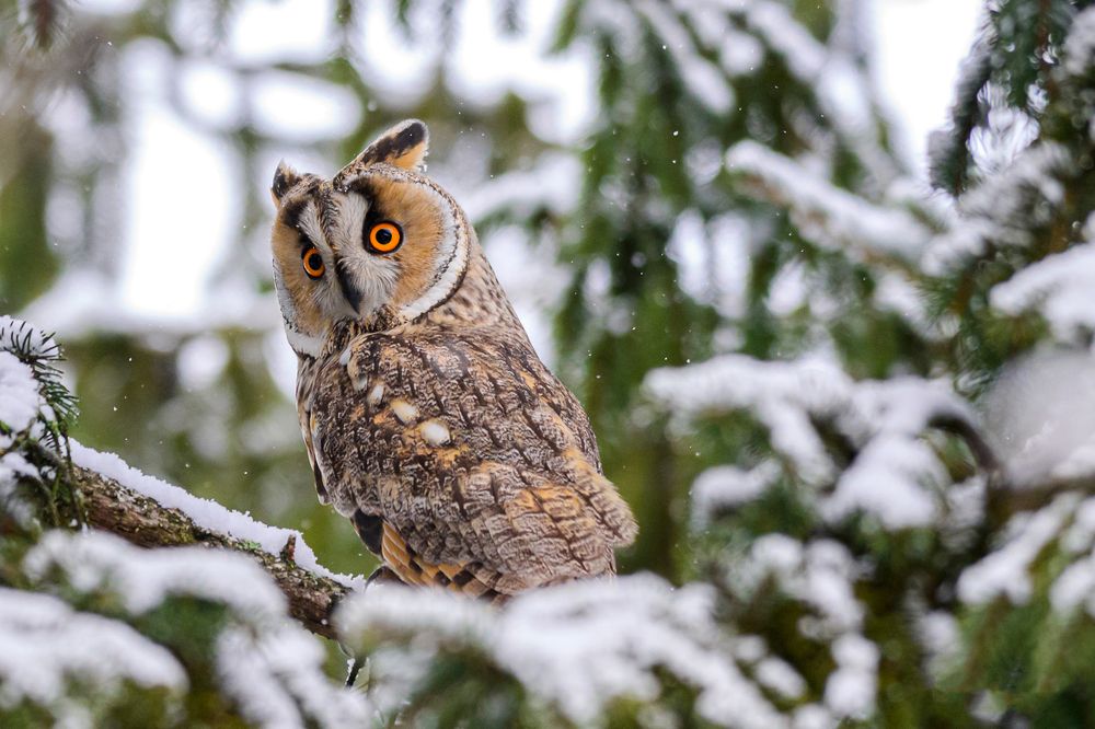 Photograph by levi bagy