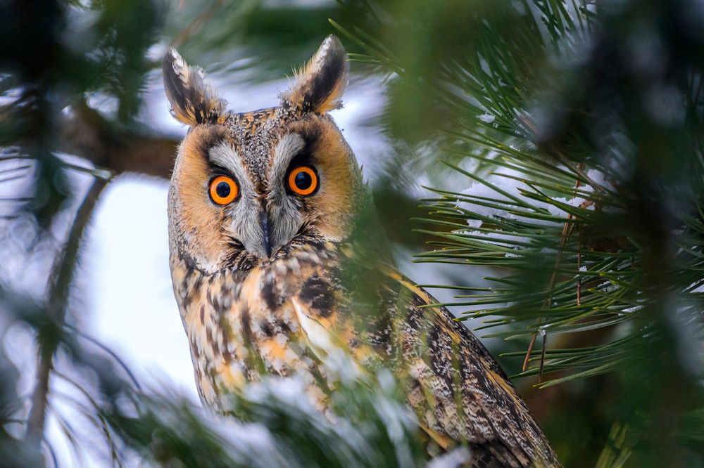 Photograph by levi bagy