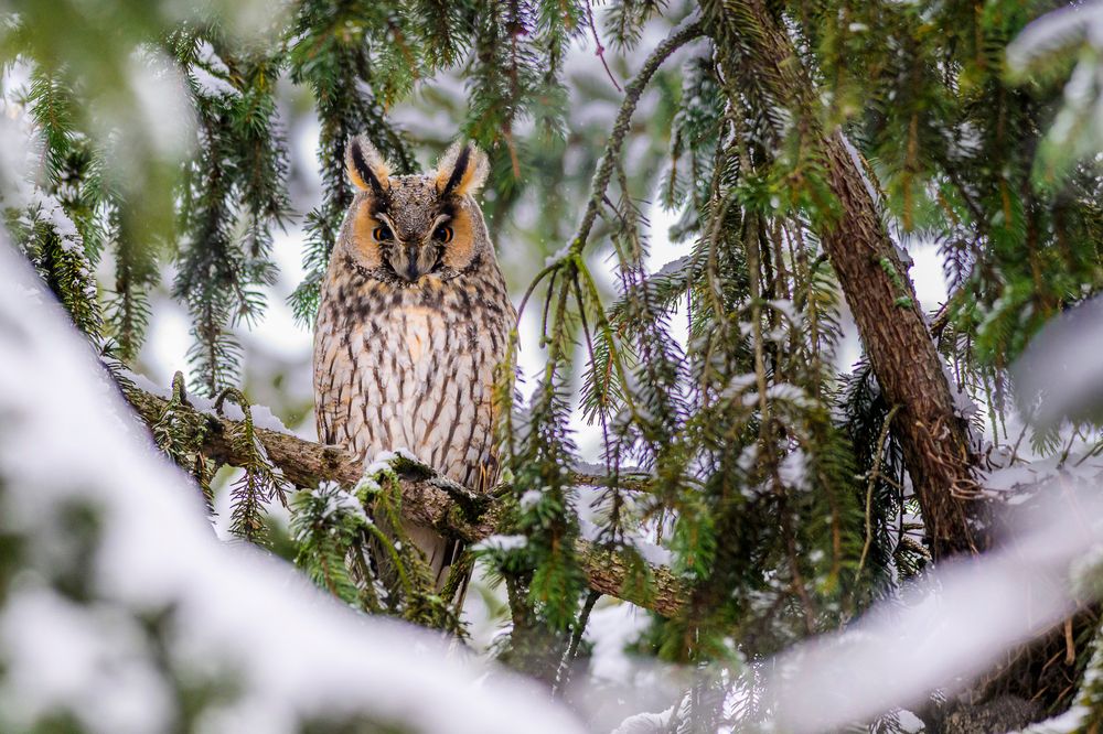 Photograph by levi bagy