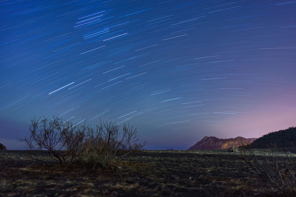 Photograph by Александр Шалагин