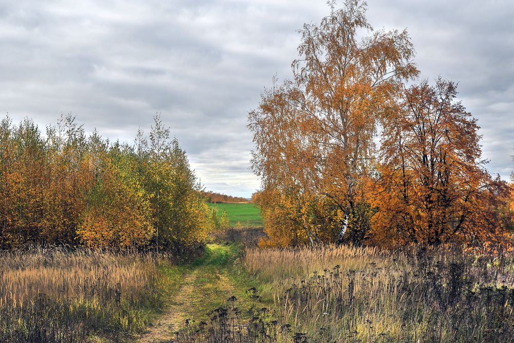 Photograph by Cергей Абакумов