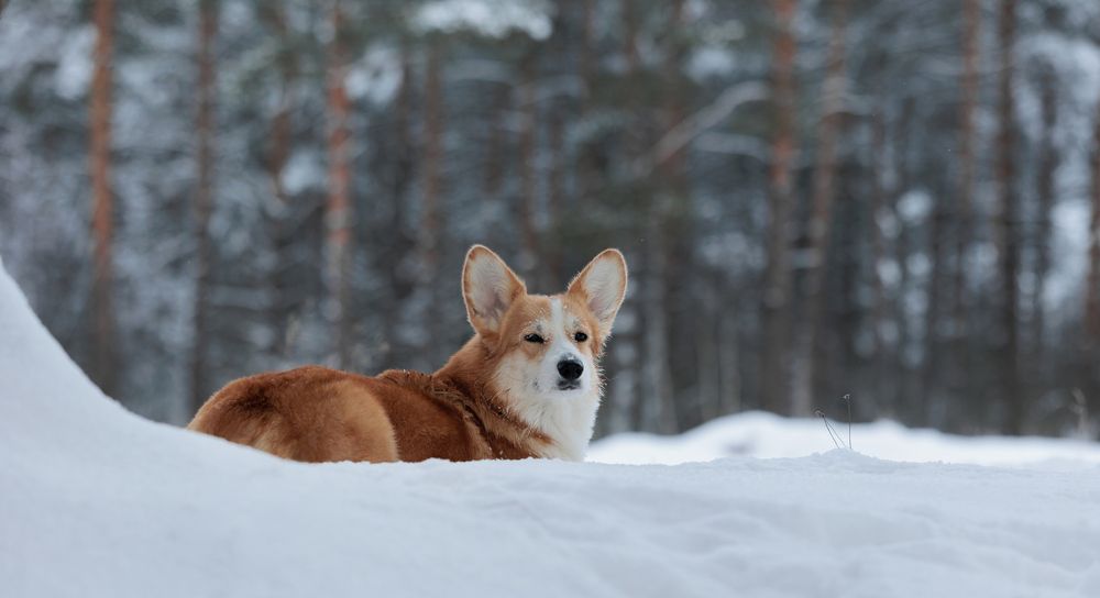 Photograph by Наталья Кирина