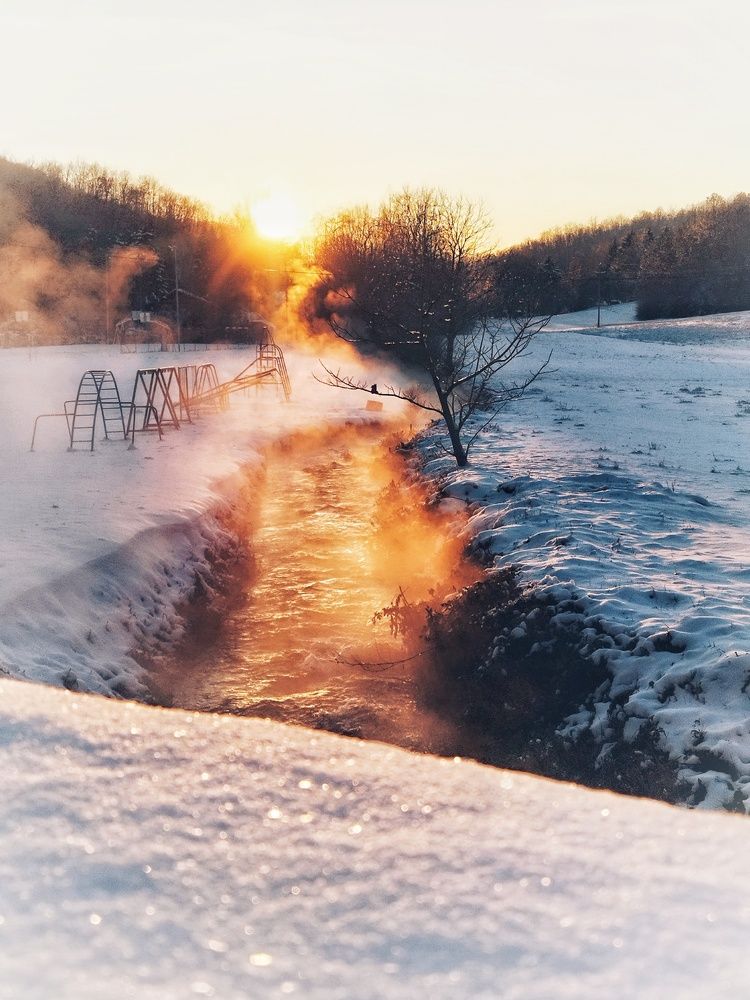 Фотография автора JELENA VASIC