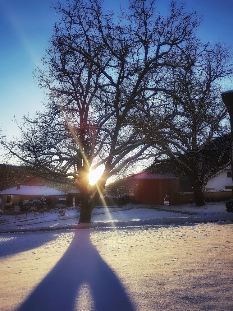 Фотография автора JELENA VASIC