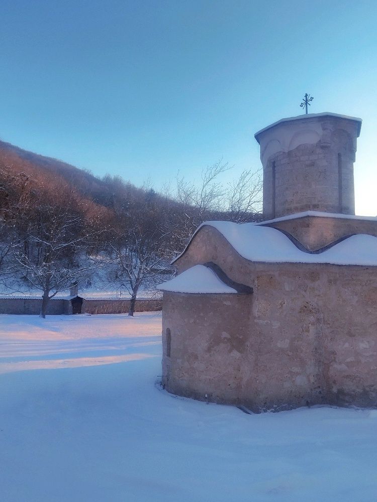 Фотография автора JELENA VASIC