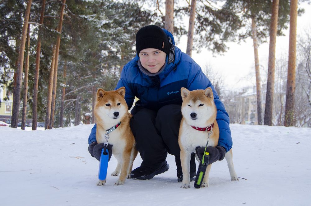 Photograph by Светлана Кудянова