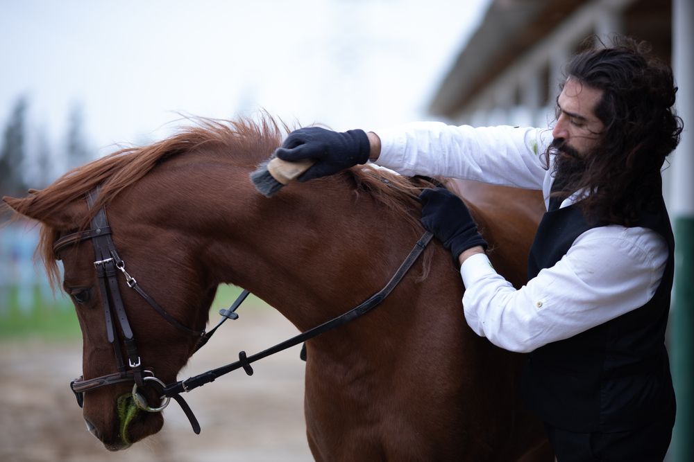 Photograph by Abdurrahim Israfilov