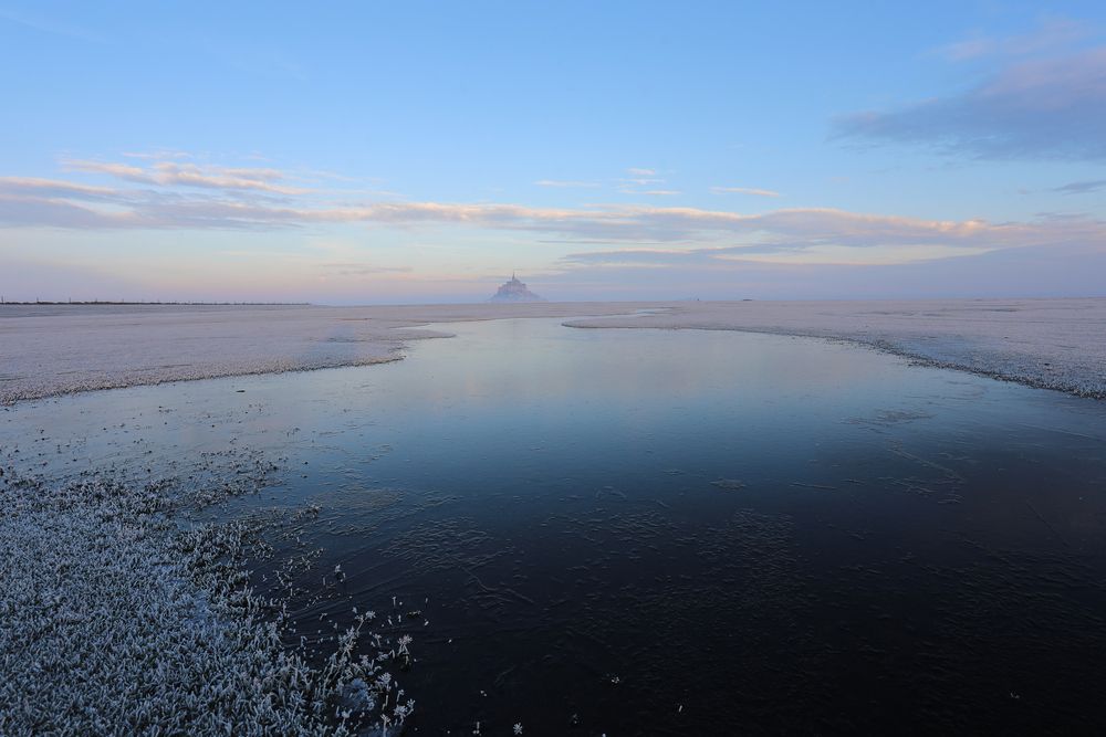 Фотография автора TANIA COHEN