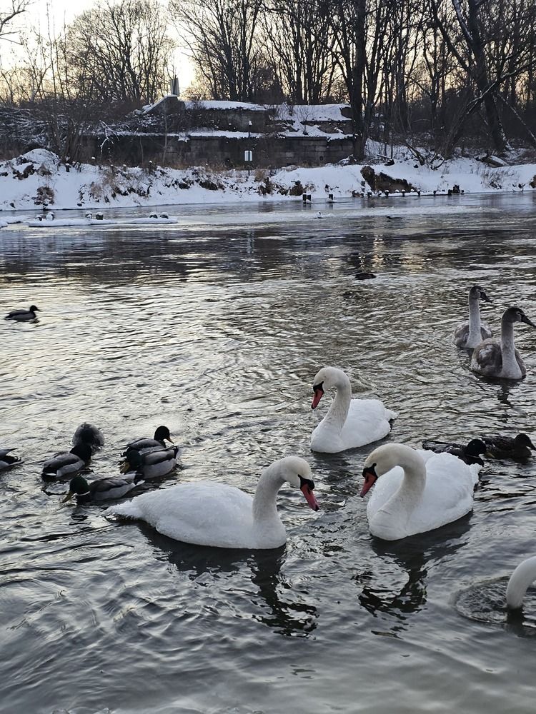 Photograph by Александр Петуховский