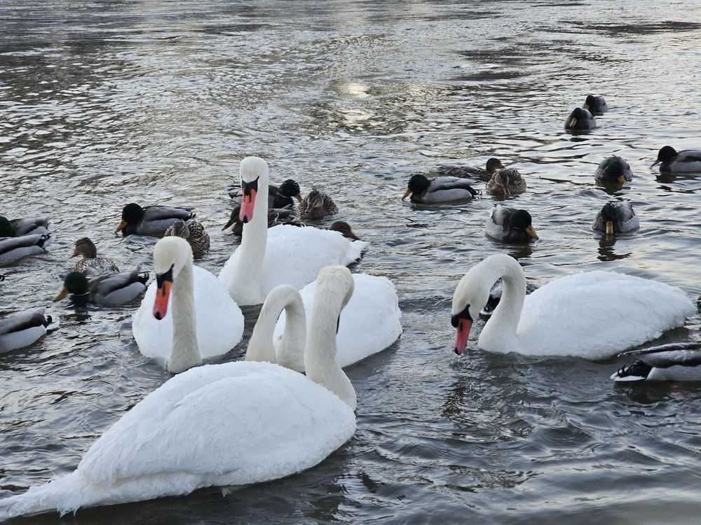 Photograph by Александр Петуховский