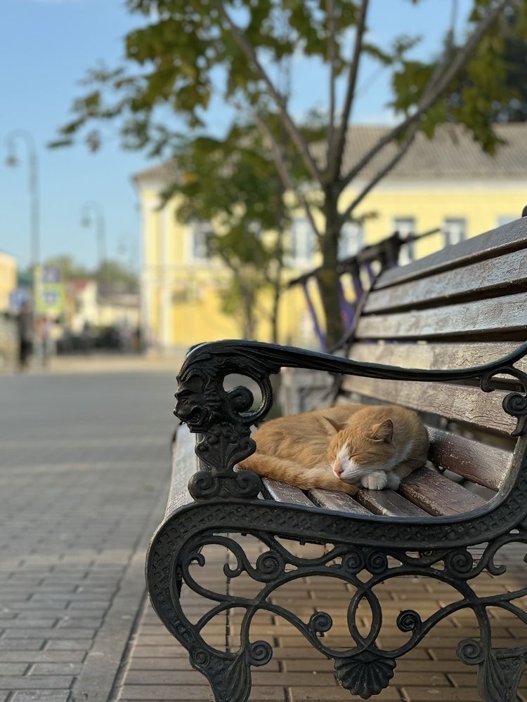Photograph by Елена Войтова