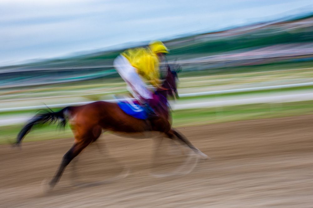 Фотография автора Negovan Pesic