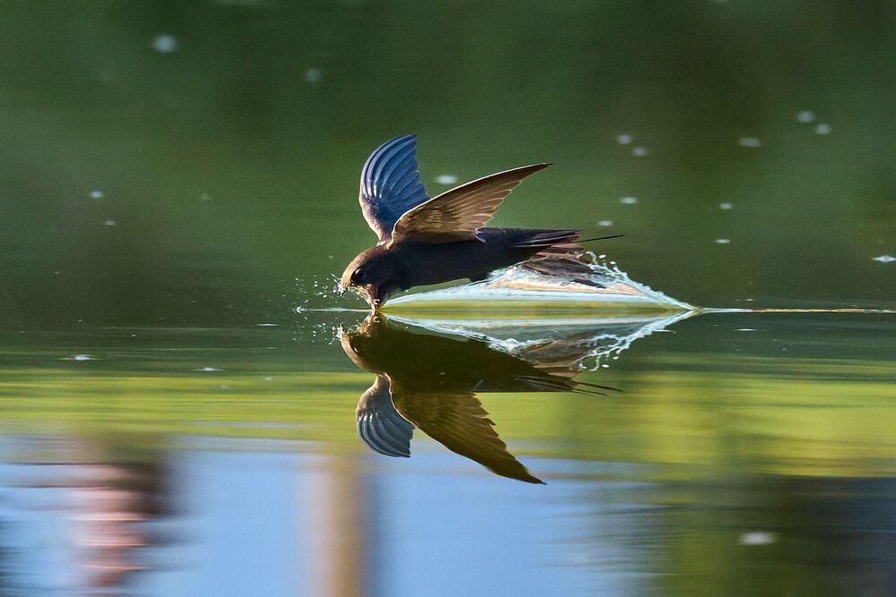 Photograph by Mikhail Khmelevskiy