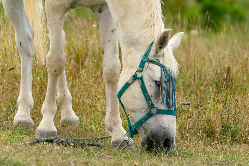 Photograph by Наталья Вялых