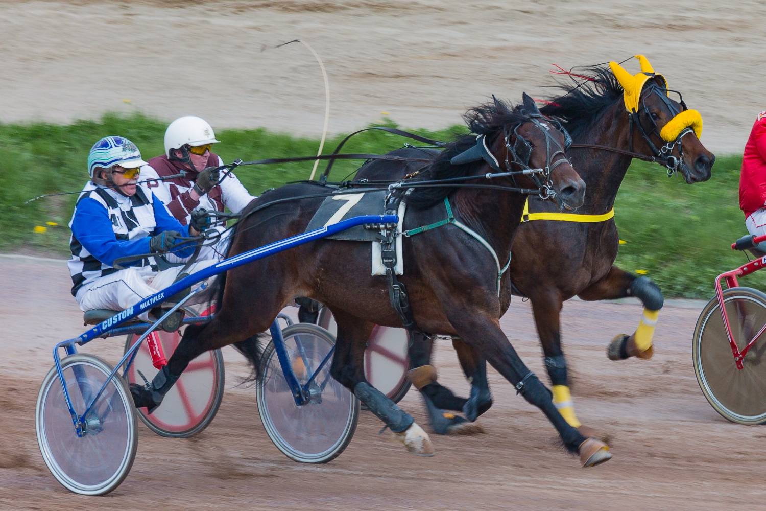 Фотография #13118881