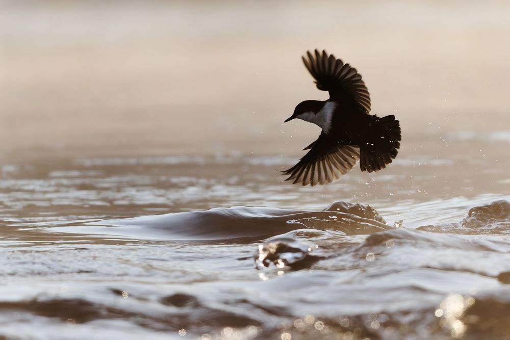 Photograph by Jørgen Hovde