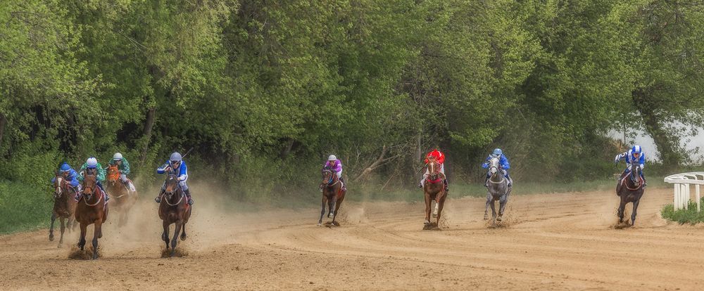 Фотография автора Анатолий Фомин