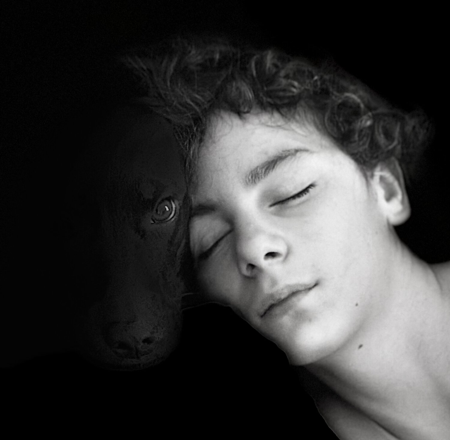 Photo #13118908