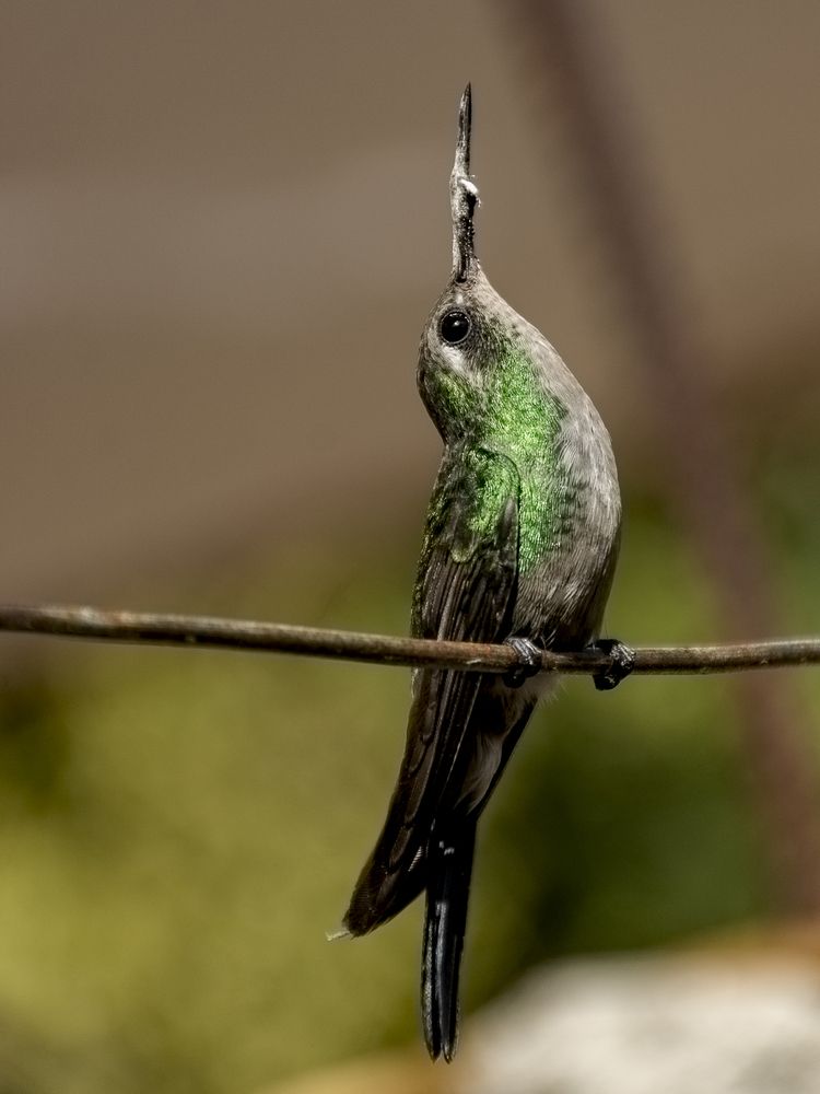 Фотография автора Yudeny Lopez