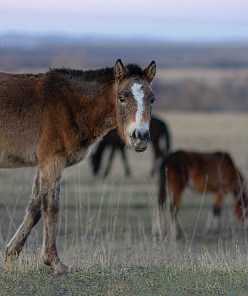 Photograph by Сергей Синягин