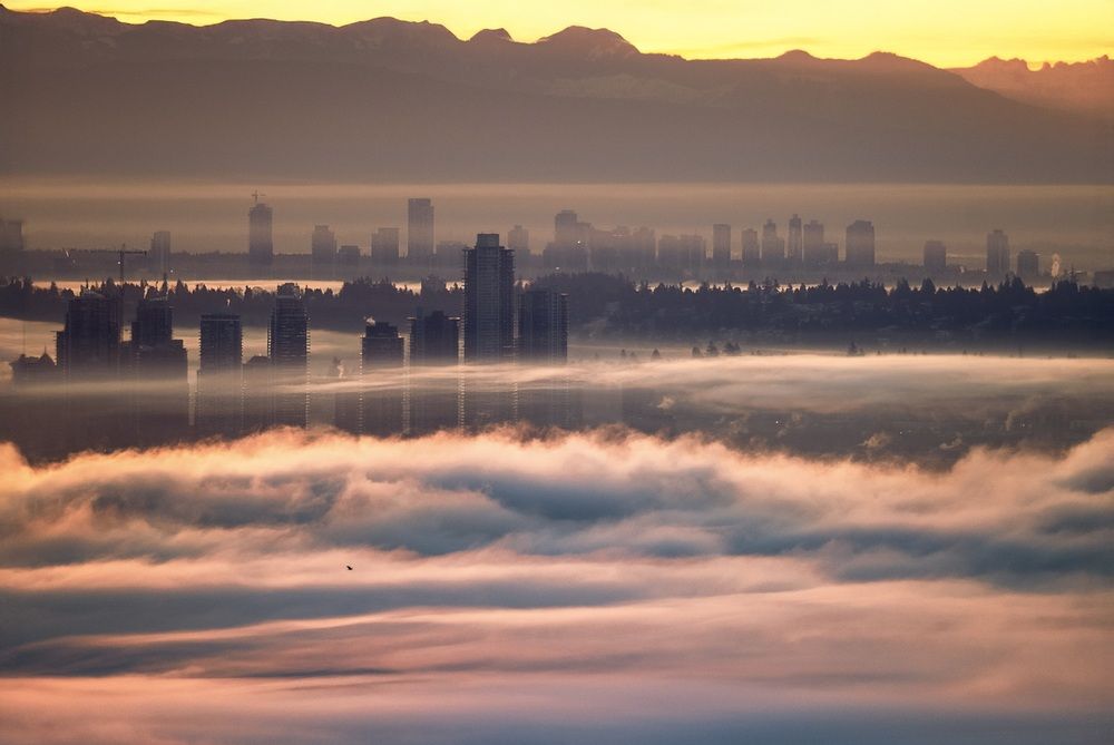 Foggy morning