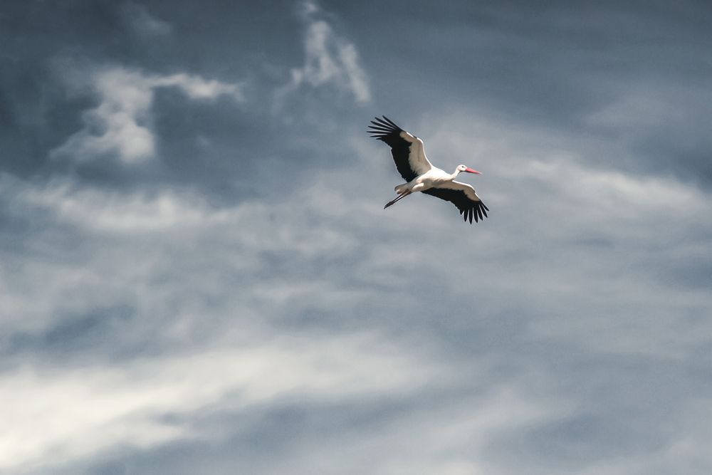 Photograph by Анастасия Сидоренко