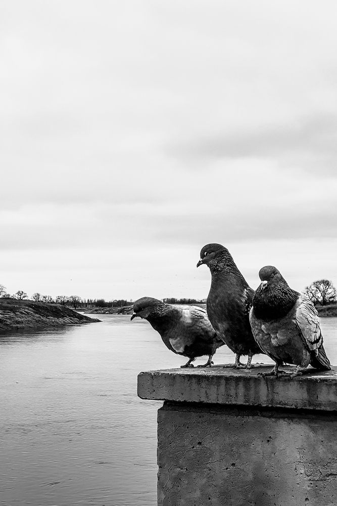 Photograph by Анастасия Сидоренко