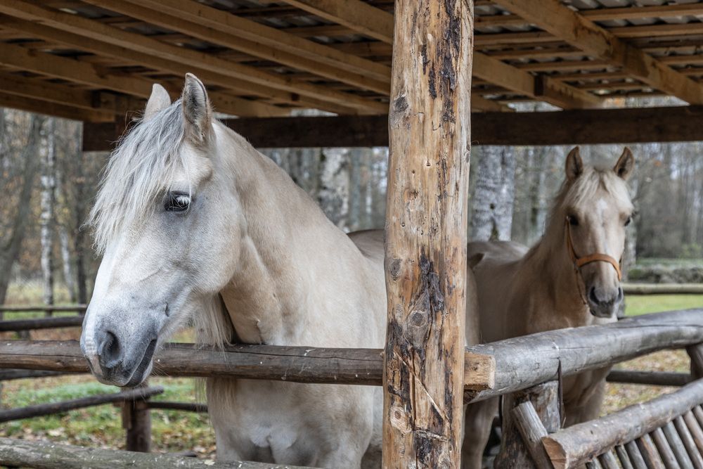 Photograph by Александр Новиков