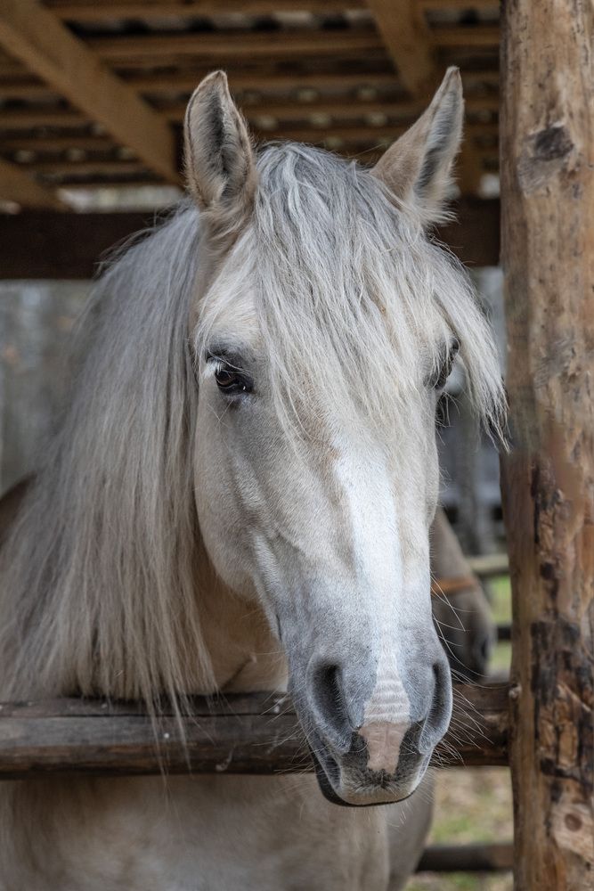 Photograph by Александр Новиков
