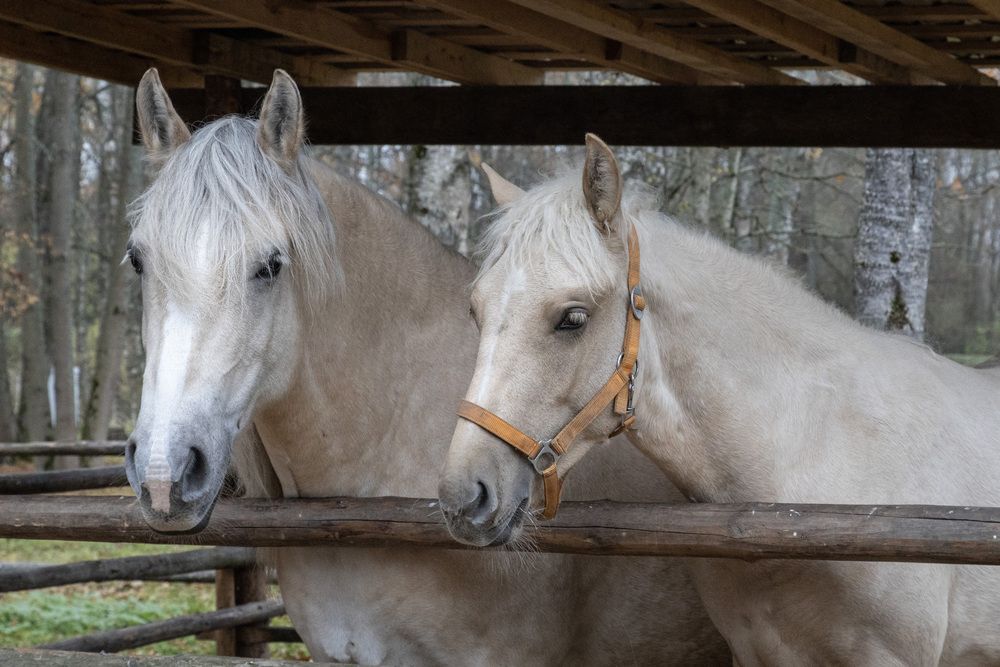 Photograph by Александр Новиков