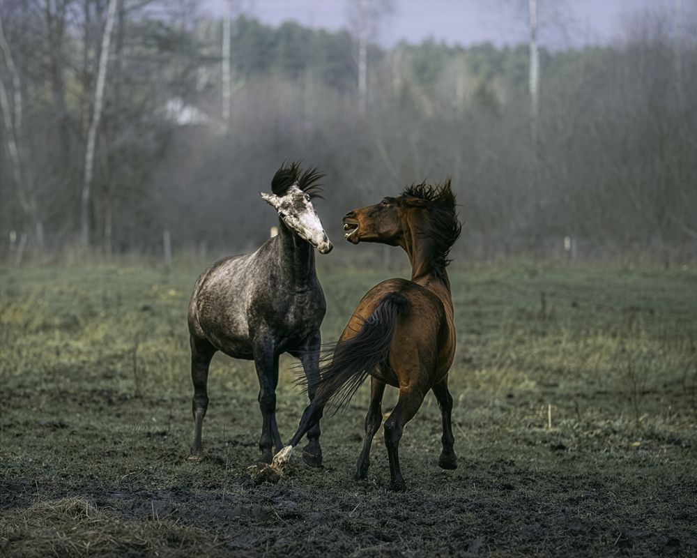 Photograph by Jurijs Rudzeiss