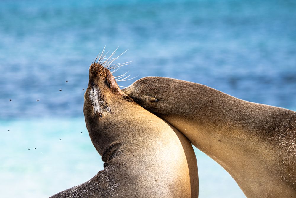 Photograph by Julia A Caesar