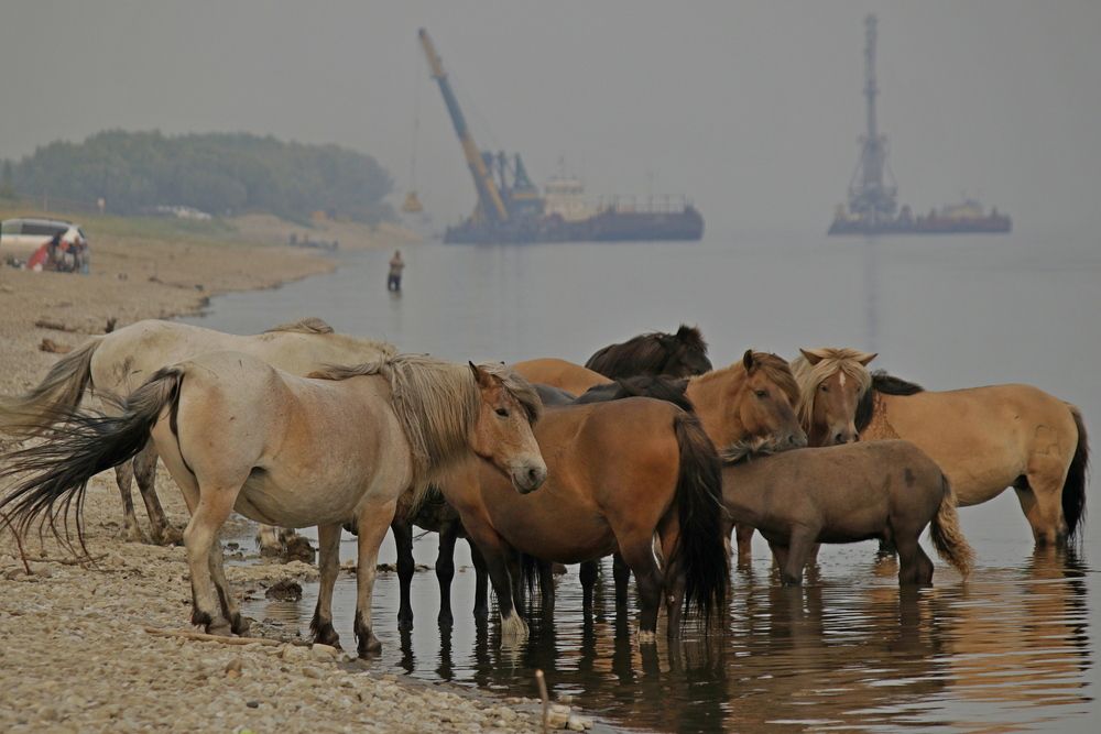 Photograph by Александр Велигура
