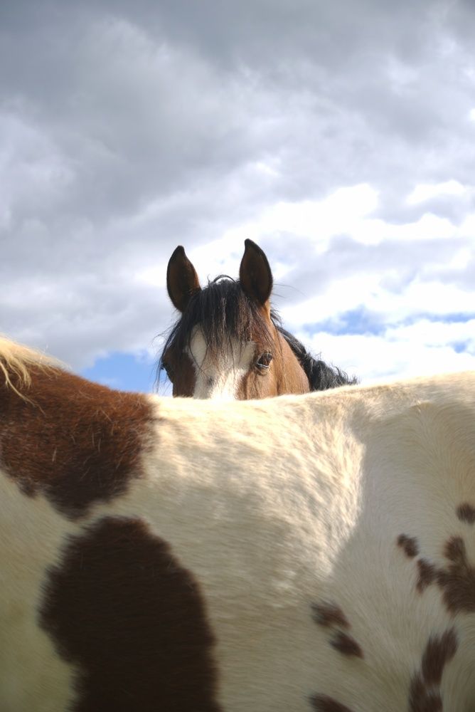 Photograph by Adaya Iglesias