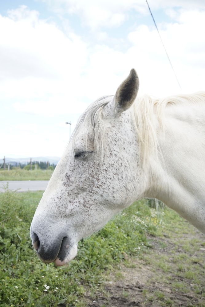 Photograph by Adaya Iglesias