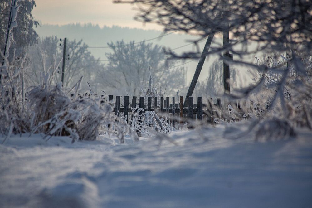 Photograph by Евгений Авдеев