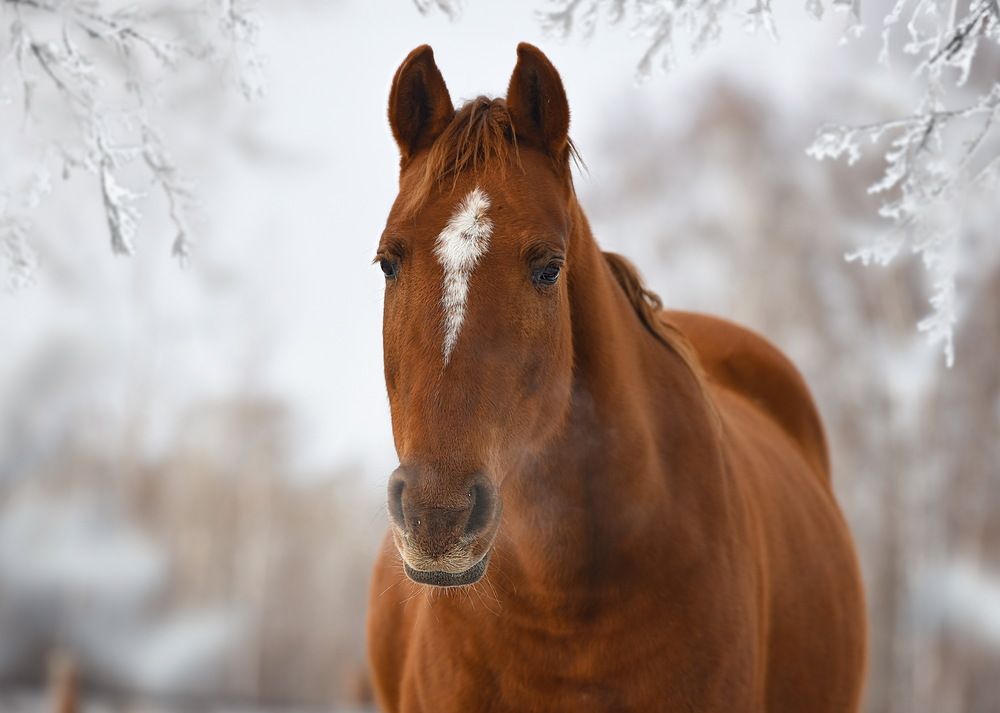 Фотография автора Ольга Слободянюк