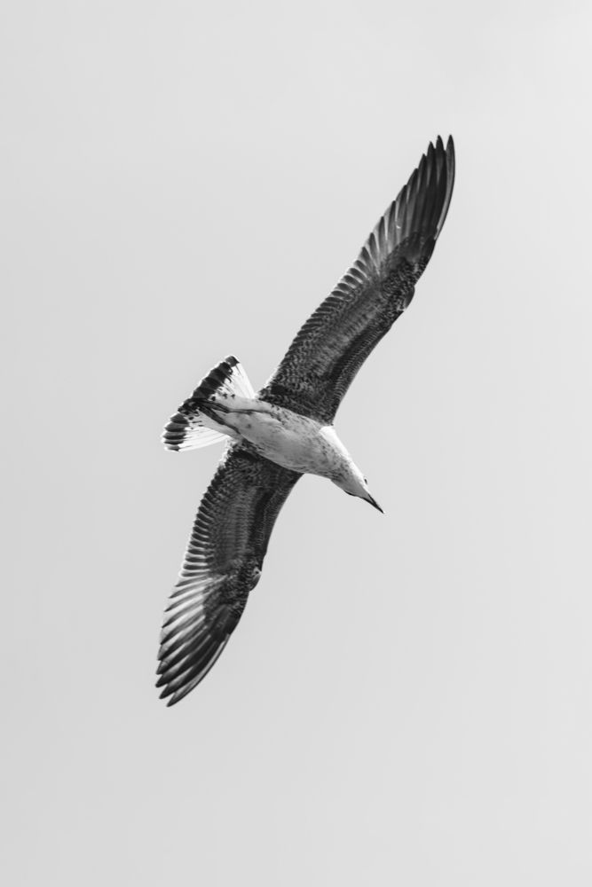 Photograph by Эльвира Полудницына