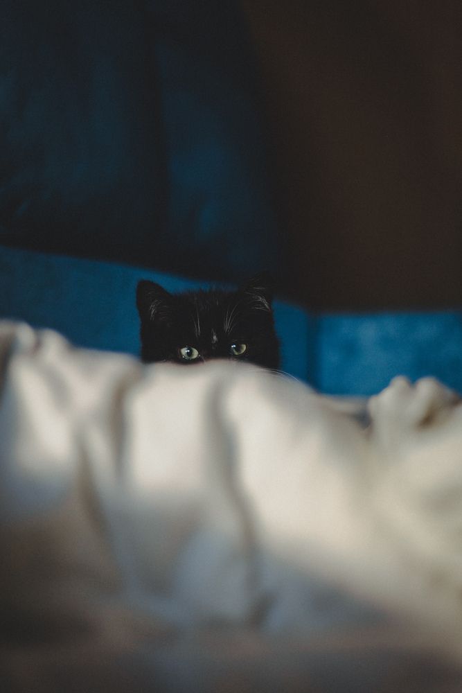 Photograph by Наталья Исаенко