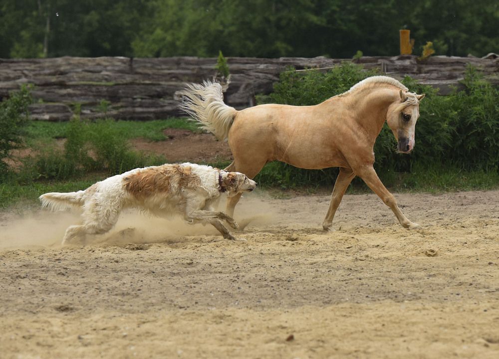 Фотография автора Ольга Слободянюк