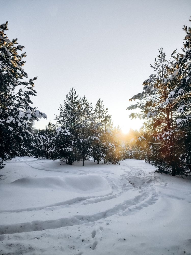 Фотография автора Алиса Исаева