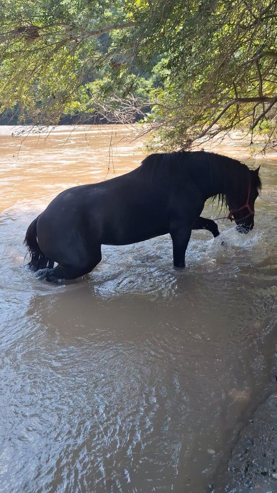 Фотография автора Angelica Aceves