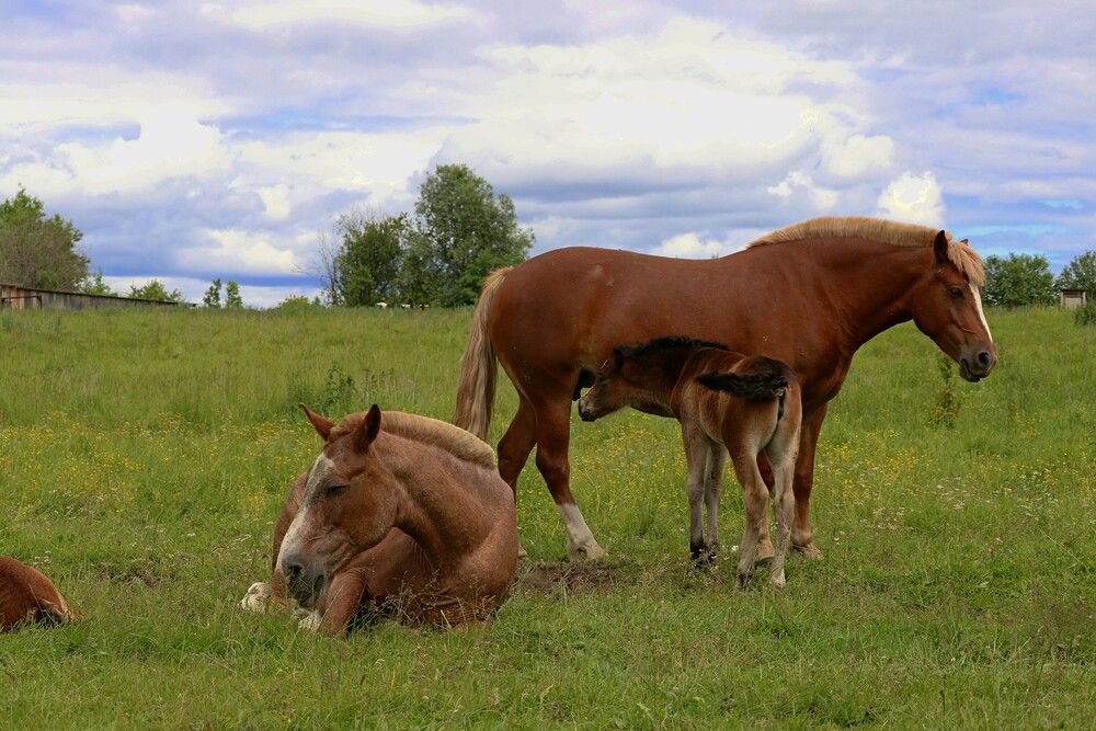 Photograph by Галина Мазур