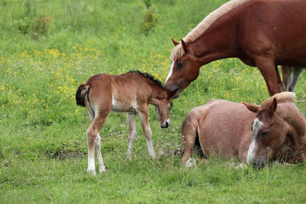 Photograph by Галина Мазур