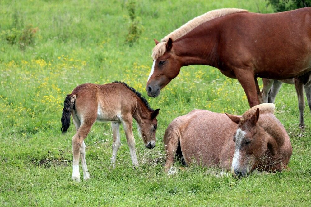 Photograph by Галина Мазур
