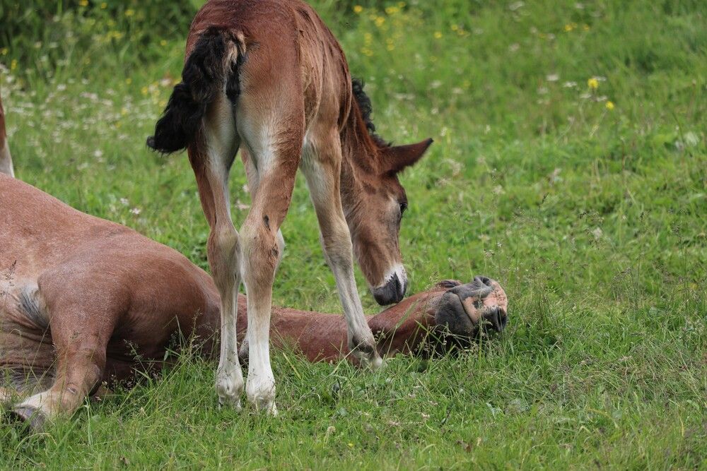 Photograph by Галина Мазур