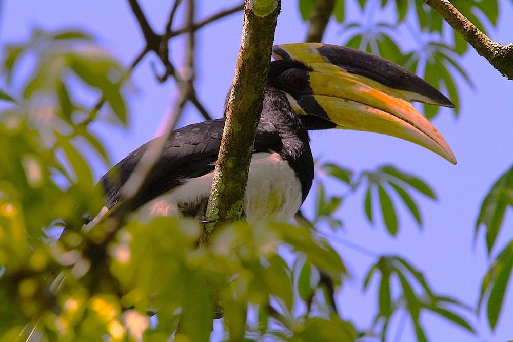 Photograph by Thusitha Dilanka