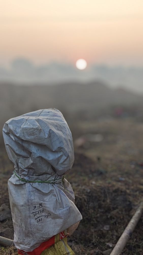 MORNING SHOWS THE DAY