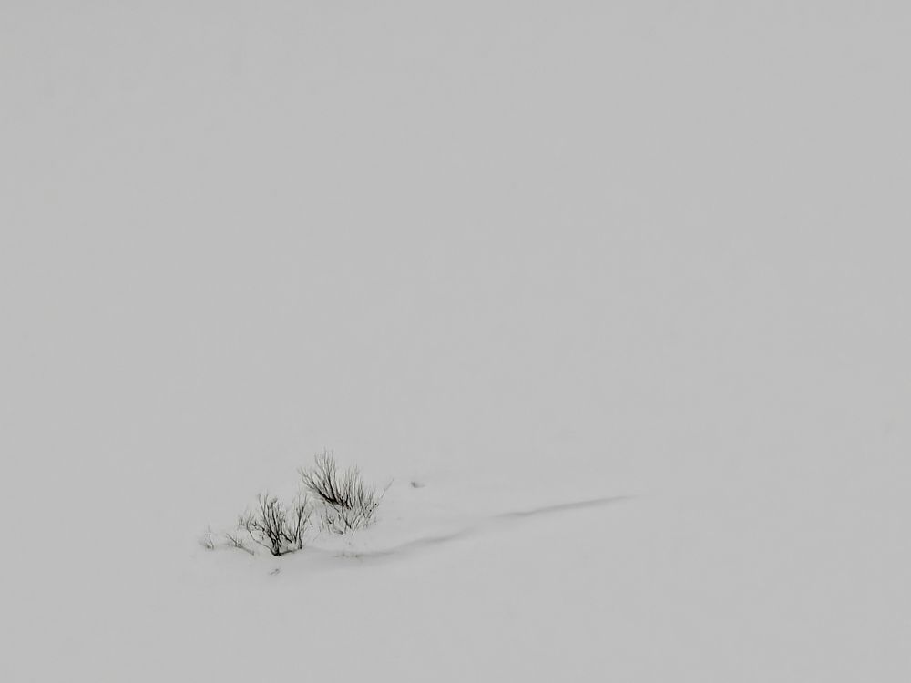 Photograph by Наталья Половая