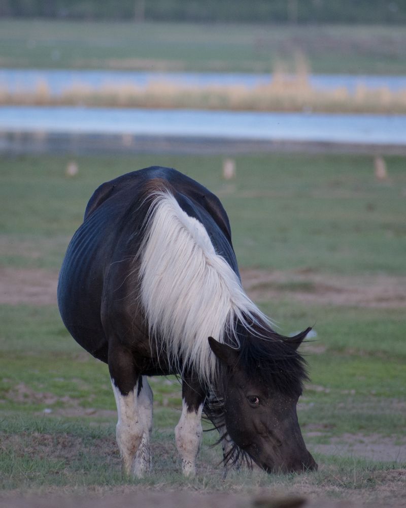 Photograph by Дмитрий Бочкарёв